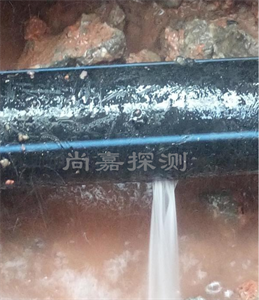 虞城消防管道漏点探测