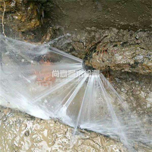 虞城自来水管道漏点检测